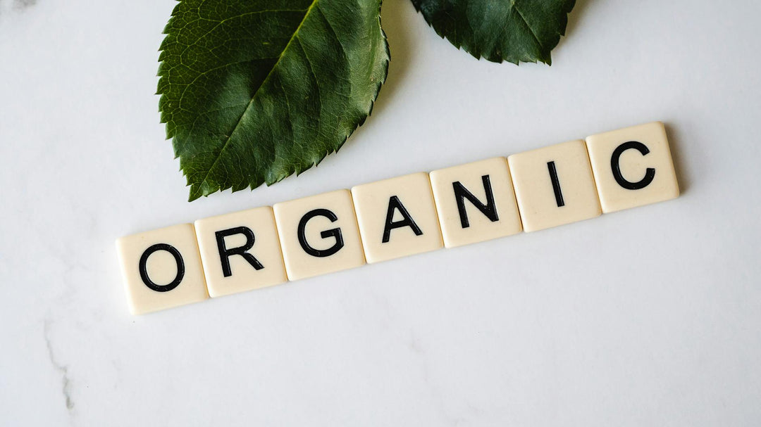Sustainable Fashion: Benefits of Organic Baby Onesies