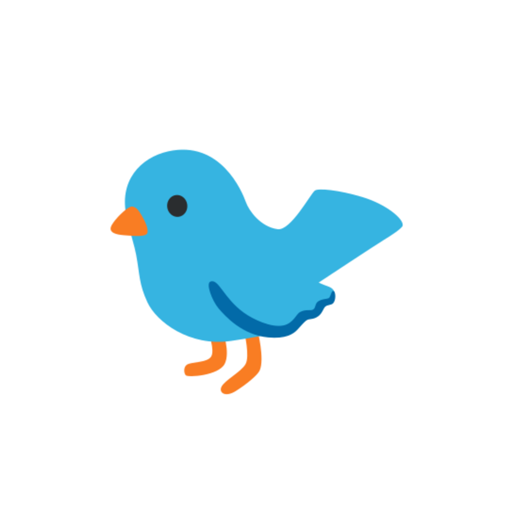 🐦 Birds