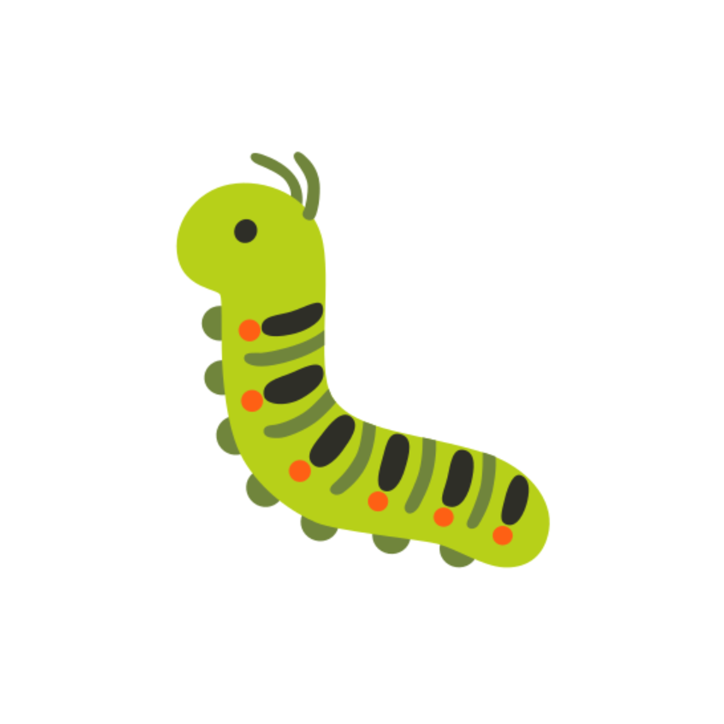 🐛 Creepy Crawlies