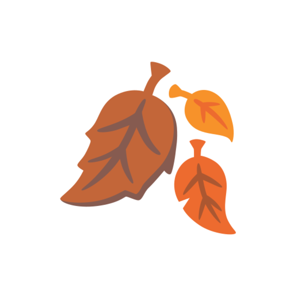 🍂 Fall / Autumn