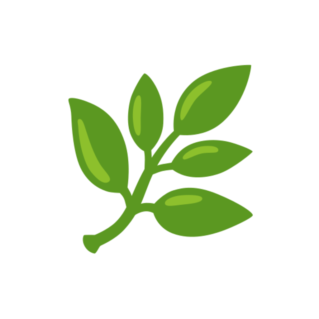 🌿 Herbs