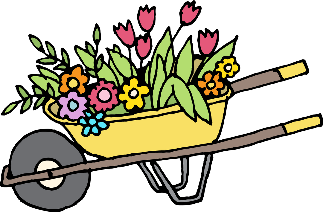 🌸 Spring